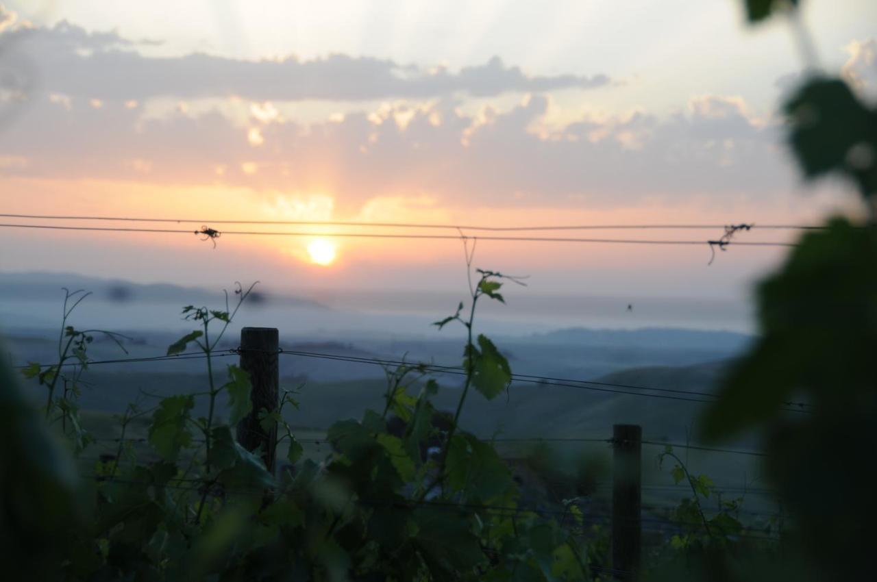 Agriturismo Podere Marcampo Volterra Exteriör bild