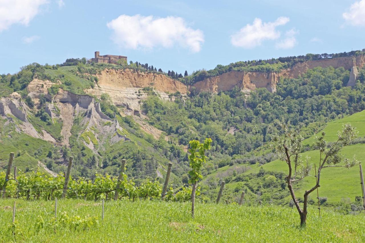 Agriturismo Podere Marcampo Volterra Exteriör bild