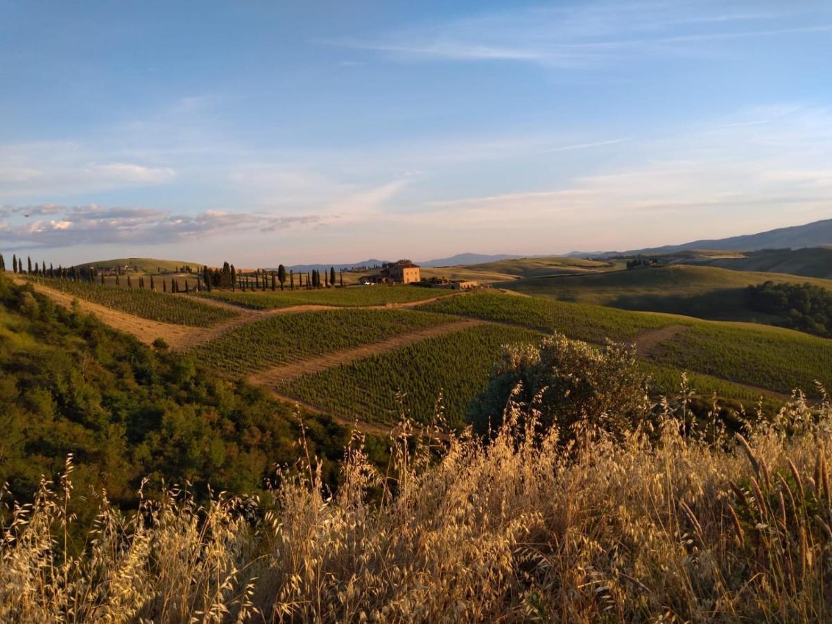 Agriturismo Podere Marcampo Volterra Exteriör bild